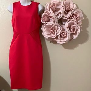 CALVIN KLEIN Hot Pink Career Sheath Dress